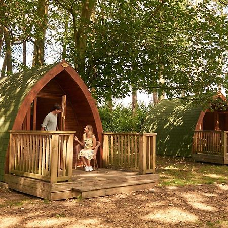Pinewood - At Port Lympne Reserve Hythe  Exterior foto