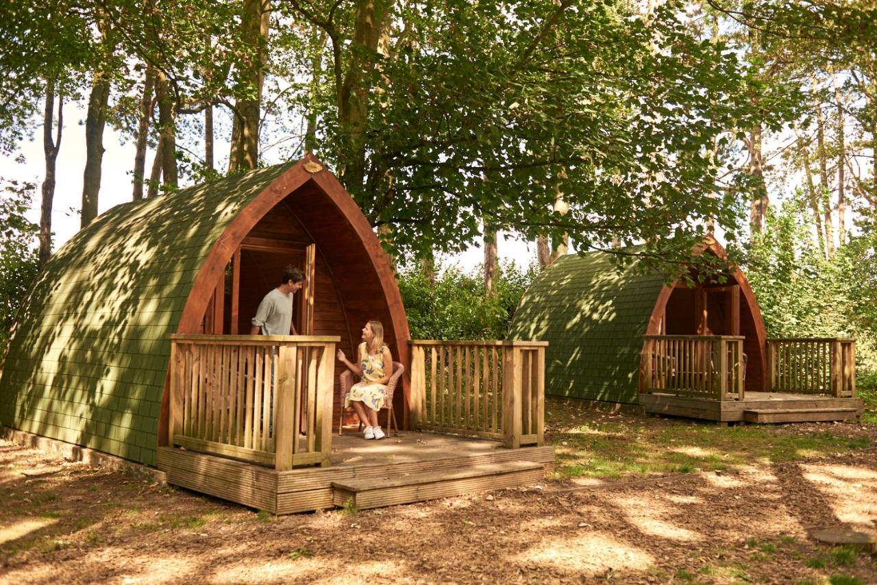 Pinewood - At Port Lympne Reserve Hythe  Exterior foto